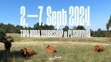 Tipo Brda workshop (40th)